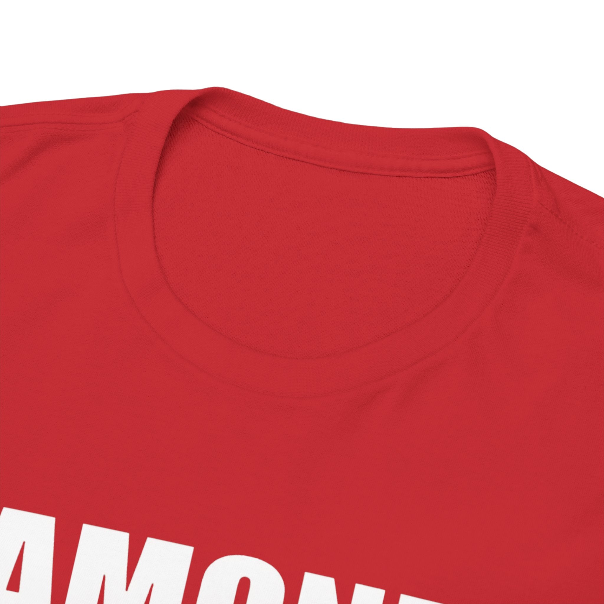 Unisex Ramones Inspired Punk Rock Band Vintage Tee | Joey Johnny Dee Dee Tommy Ramone Fan Shirt