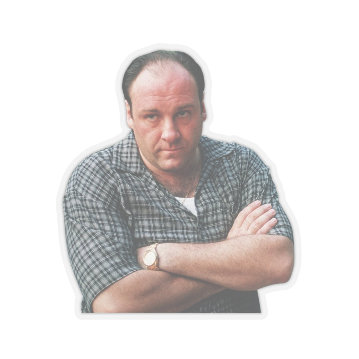 Tony Soprano Inspired Custom Sticker | Classic Side-Eye Mafia Boss Look (4 Sizes)
